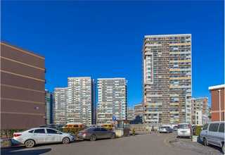 阳江过节送礼规矩